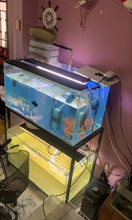 (Category: ) located in . Submitted by _xxsunflower (Listing ID 1099739224, Image 1). Description: .