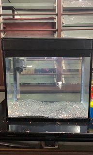 (Category: ) located in . Submitted by ivan7708 (Listing ID 1099857374, Image 1). Description: .