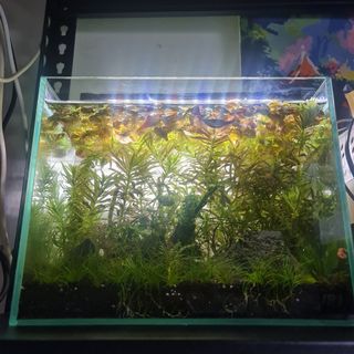 (Category: ) located in . Submitted by sunny21572002 (Listing ID 1099763773, Image 1). Description: .