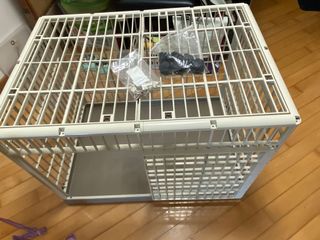 （分類：）位於 。 由 sinapec 提交（商品編號 1099790821，圖片 1）。簡介： 。