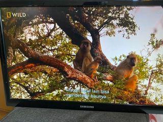 LED Samsung TV/Monitor