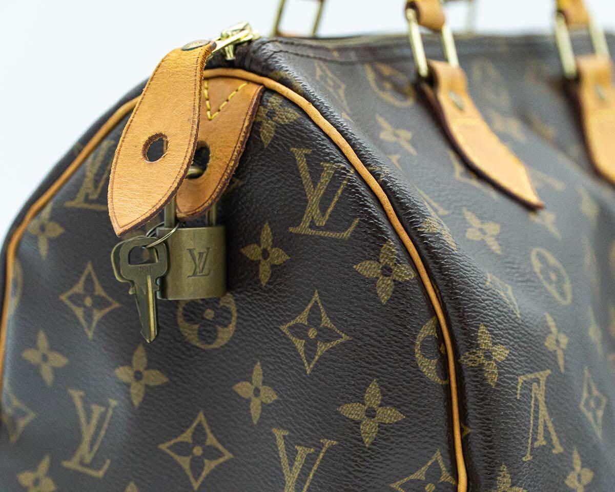 LV Van Gogh Speedy 30 cm Limited Edition, Women's Fashion, Bags & Wallets,  Cross-body Bags on Carousell