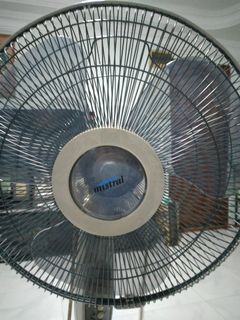 (Category: ) located in . Submitted by pk327 (Listing ID 1099906709, Image 1). Description: .