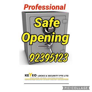 Professional Safe Opening, Locksmith Service