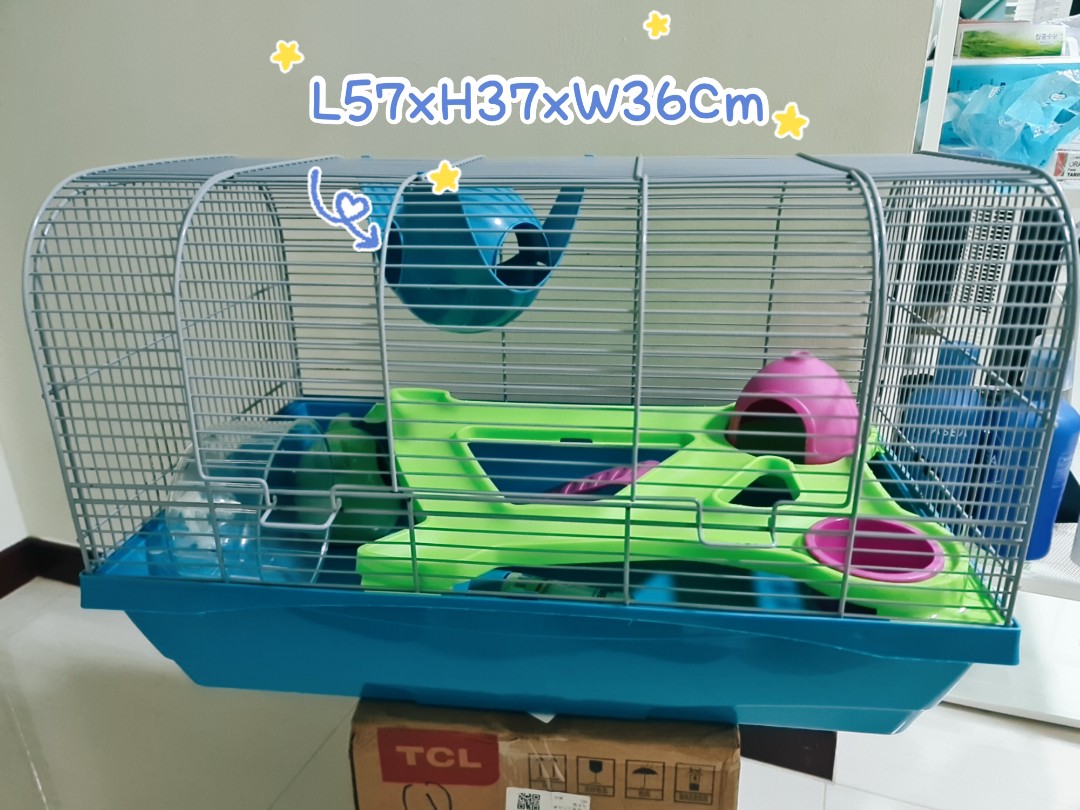 Preloved pets birds on sale