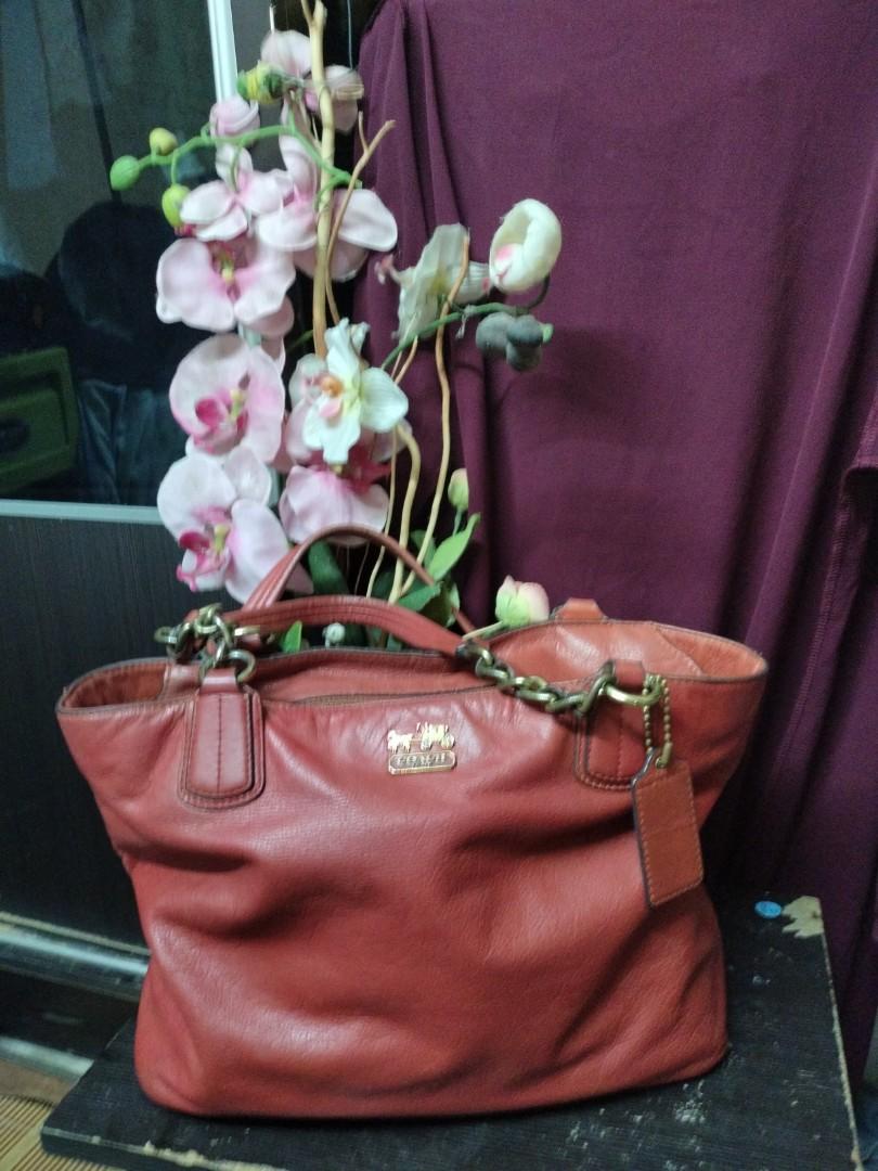 Coach best sale moth bag