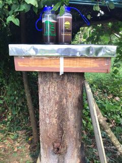 (Category: ) located in . Submitted by wct1196 (Listing ID 1099769168, Image 1). Description: .