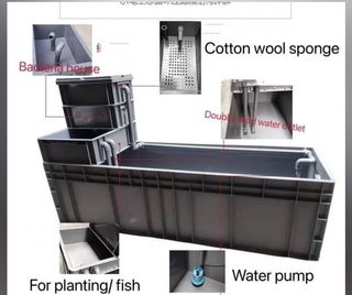(Category: ) located in . Submitted by Aquariumfever (Listing ID 1099867633, Image 1). Description: .