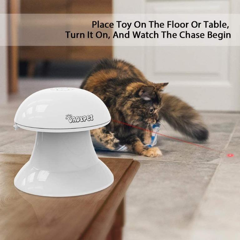 Dadypet cat discount laser toy