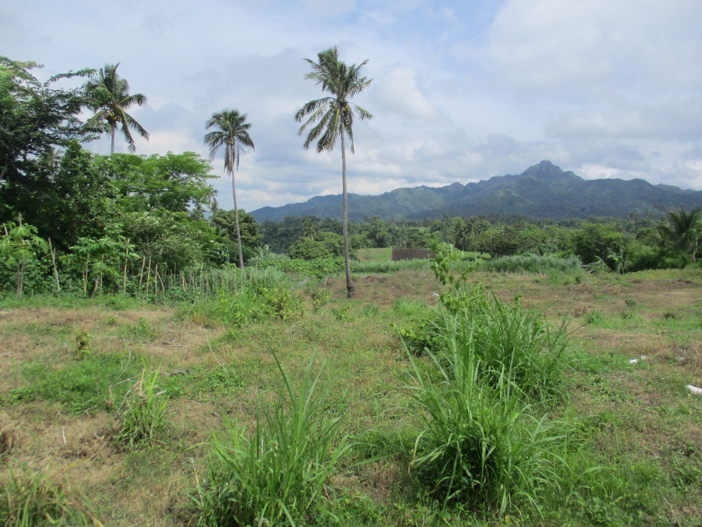 Farm lots for sale, lot for sale, Batangas farm lot for sale, Property