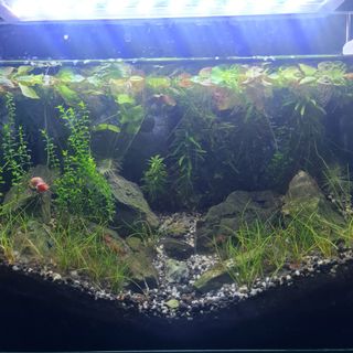(Category: ) located in . Submitted by sunny21572002 (Listing ID 1100050907, Image 1). Description: .