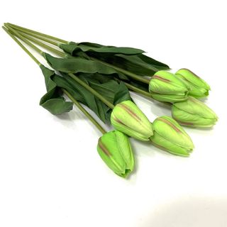 (Category: ) located in . Submitted by m.express (Listing ID 1100022152, Image 1). Description: .