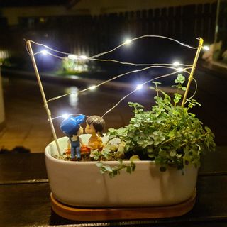 (Category: ) located in . Submitted by smellyfish (Listing ID 1099976524, Image 1). Description: .