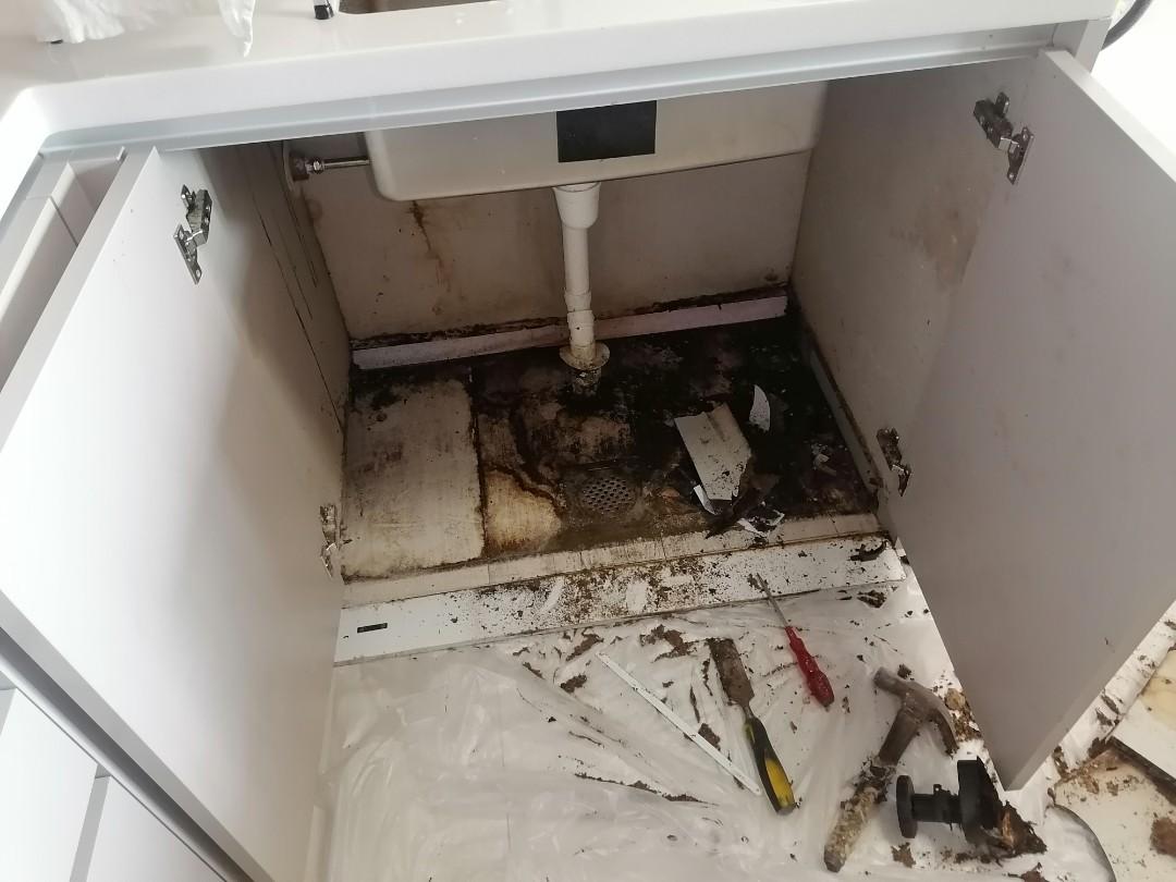 Kitchen sink repair and replace63109200516099111