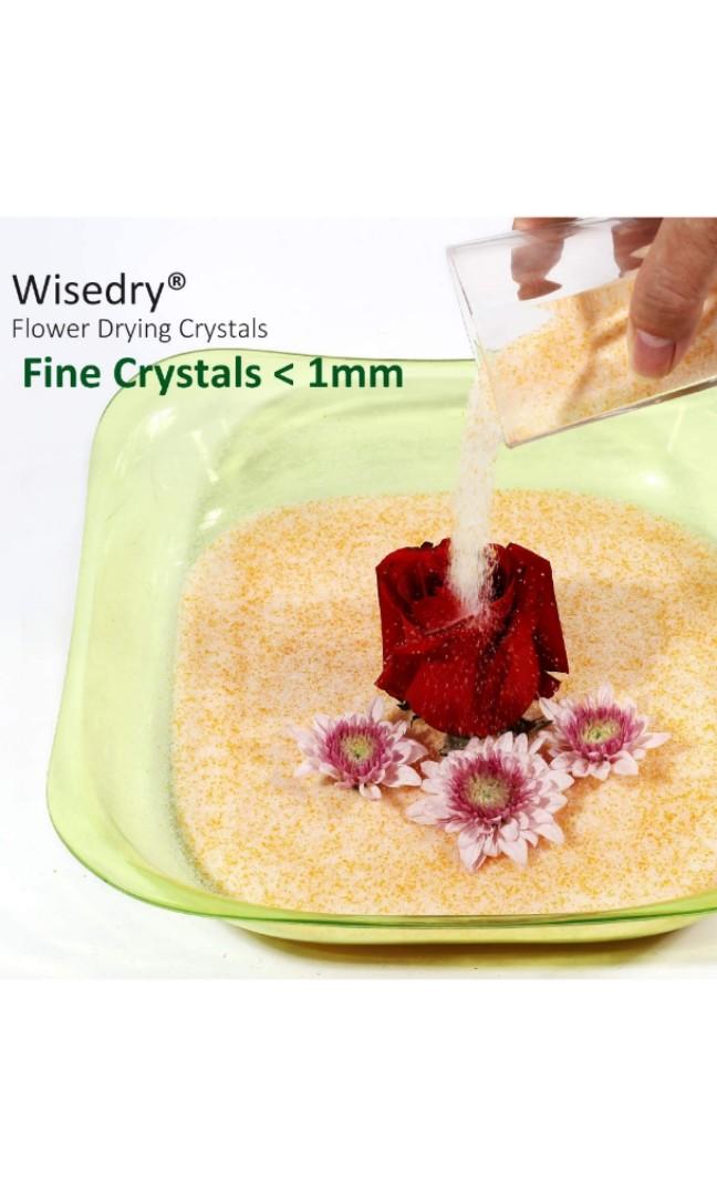 Silica Gel For Drying Flowers Singapore Best Flower Site