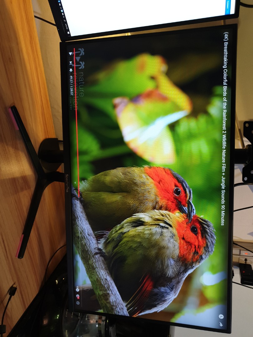HDR/LED/IPS Monitor 