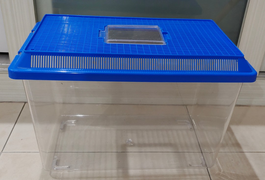 Plastic fish online tanks for sale