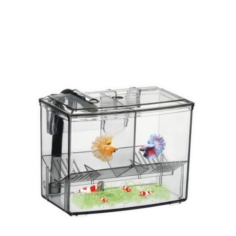 Afco Transparent Plastic Fish Breeding Isolation Protective Box Tank Aquarium Fry Fish Hatchery 