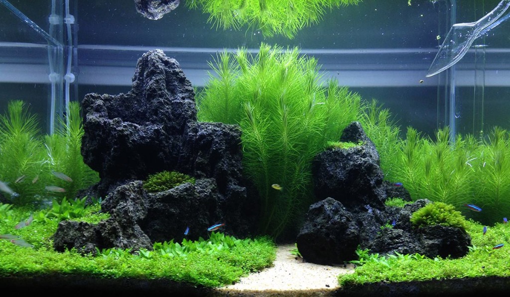 Lava rock aquarium decorations top