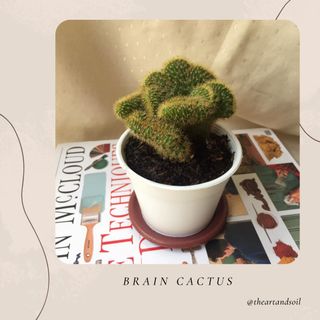 (Category: ) located in . Submitted by everythingelseby (Listing ID 1100248905, Image 1). Description: .