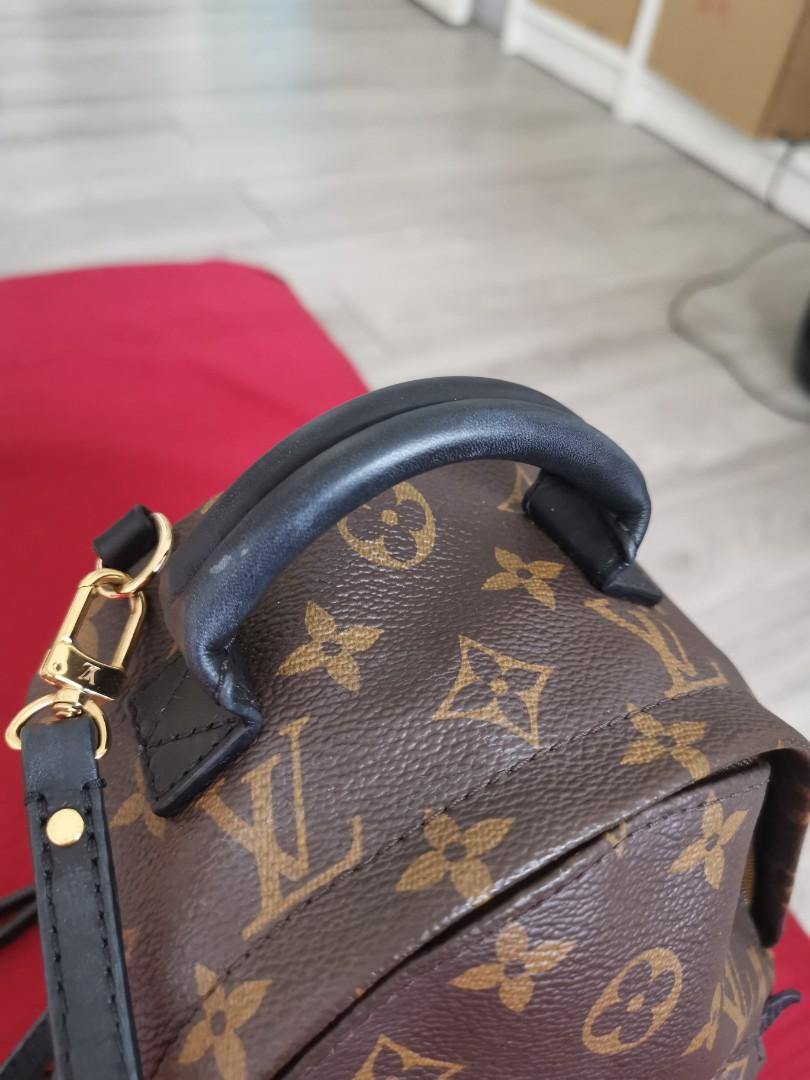 LOUIS VUITTON PALM SPRINGS BACKPACK [Video]  Louis vuitton bag, Louis  vuitton, Spring backpacking