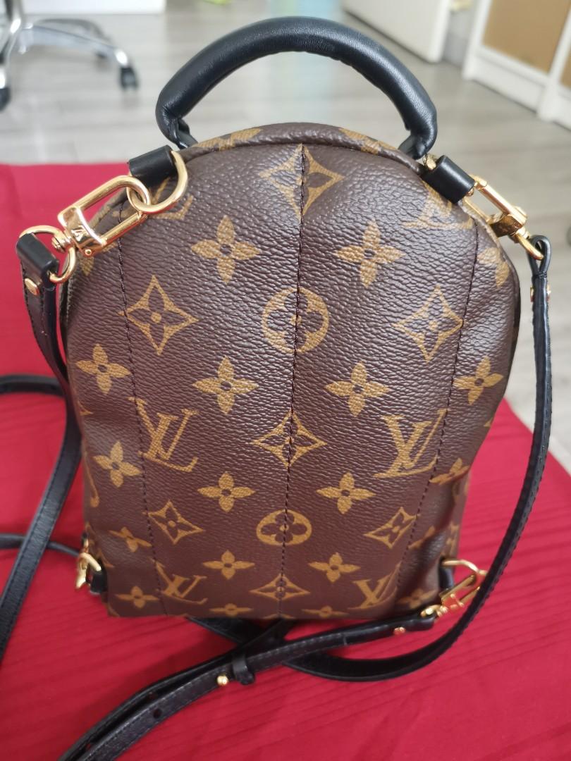 Louis Vuitton Palm Springs Backpack Backpack 368224