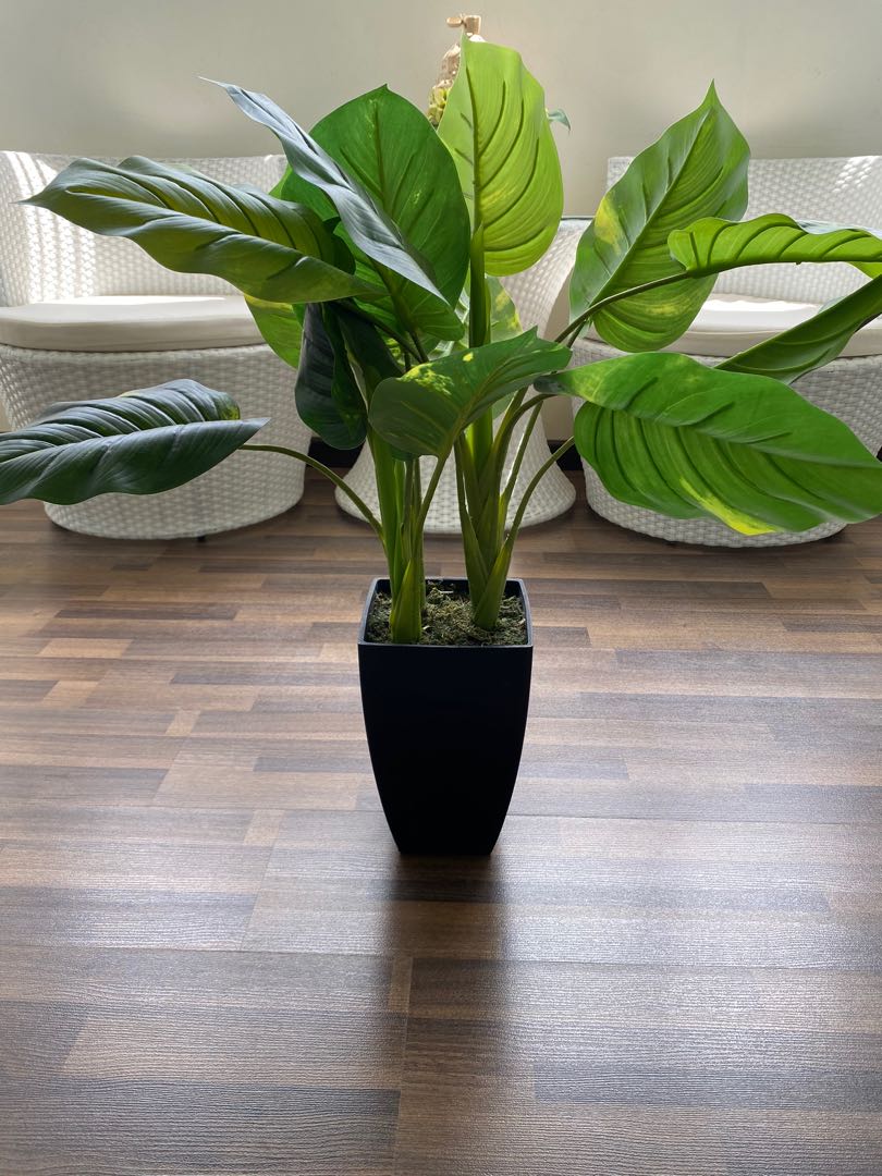 Modern Artificial Plants, Furniture & Home Living, Home Decor