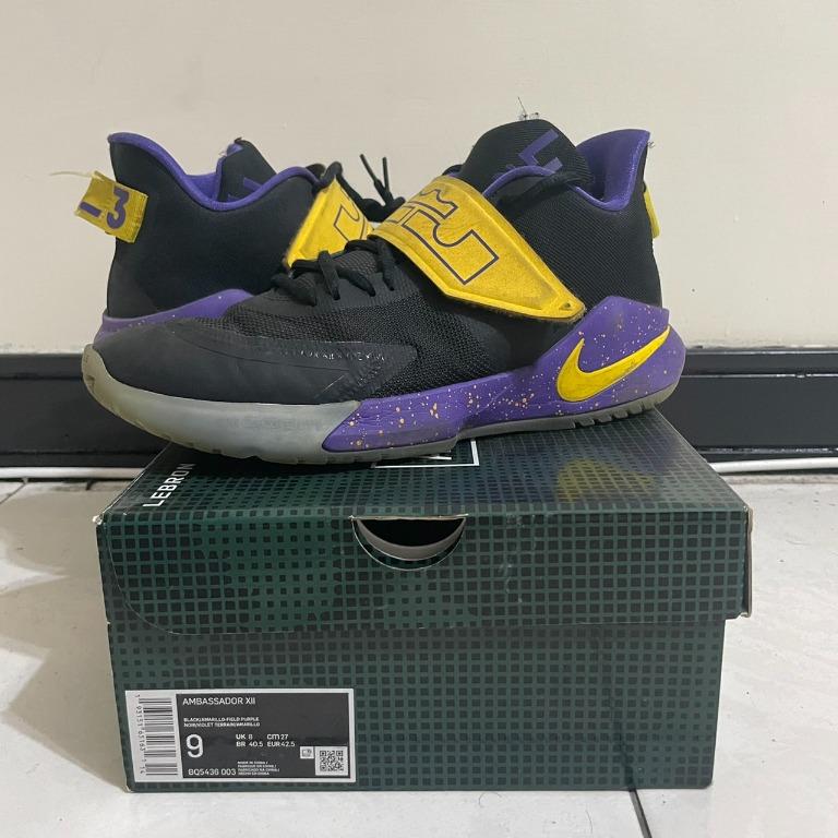 NIKE LEBRON AMBASSADOR XII LBJ