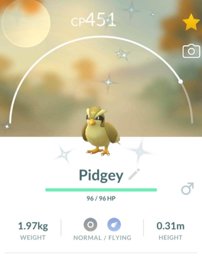 Shiny Pidgey Pokemon Go Video Gaming Gaming Accessories In Game Products On Carousell