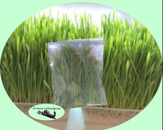 (Category: ) located in . Submitted by ahmeowswheatgrass (Listing ID 1100209429, Image 1). Description: .