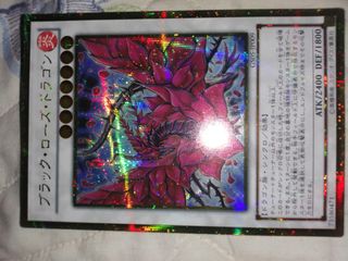 (Category: ) located in . Submitted by jaycalcan (Listing ID 1100184801, Image 1). Description: .