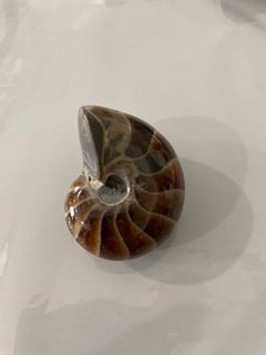 (Category: ) located in . Submitted by crystalknickknacks (Listing ID 1100482071, Image 1). Description: .