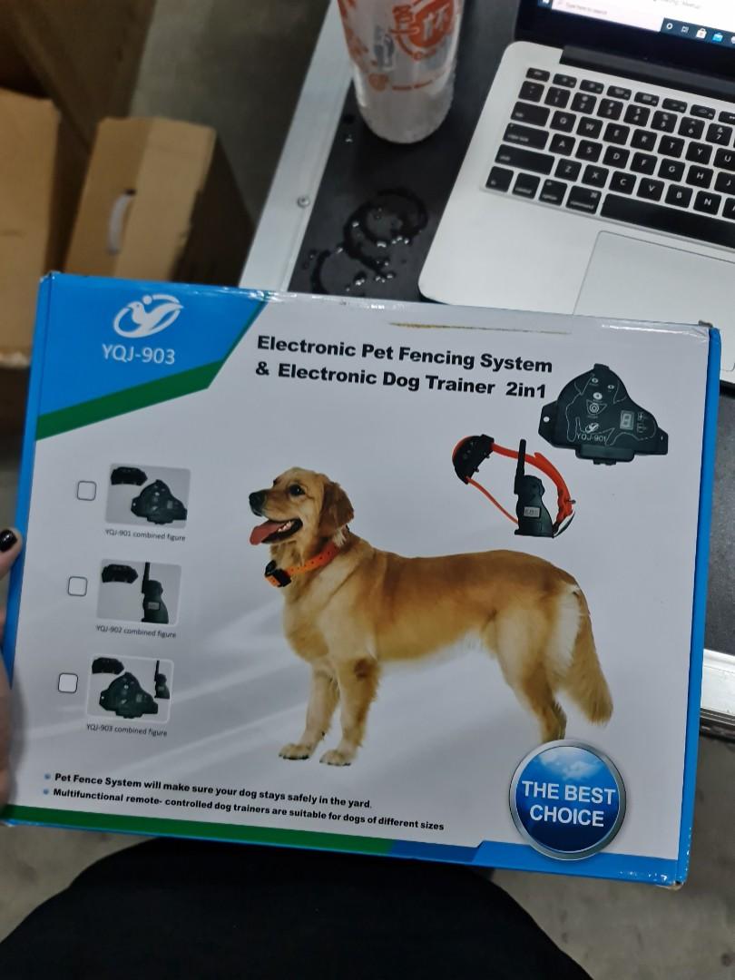 Electronic pet outlet fencing system