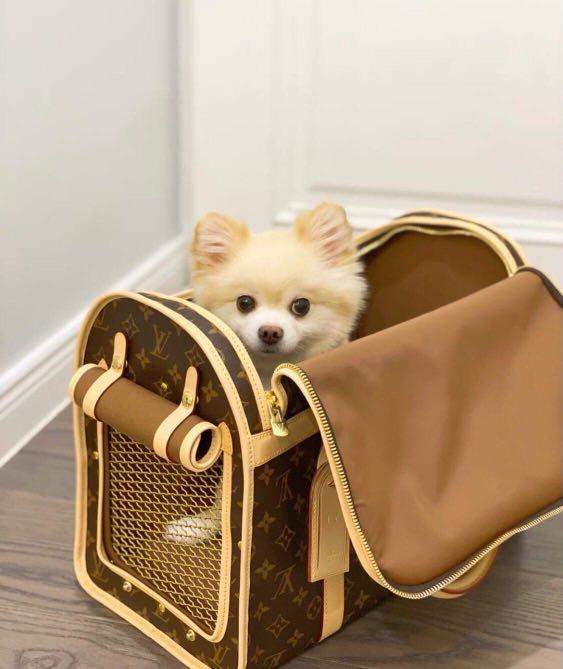 Louis Vuitton Pet/Dog Carrier Brand New - Pomeranian Dolls