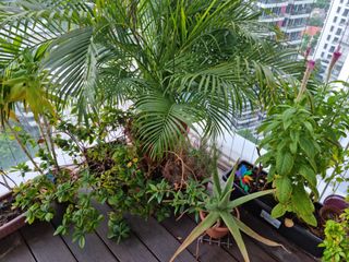 (Category: ) located in . Submitted by rotem120 (Listing ID 1100393675, Image 1). Description: .