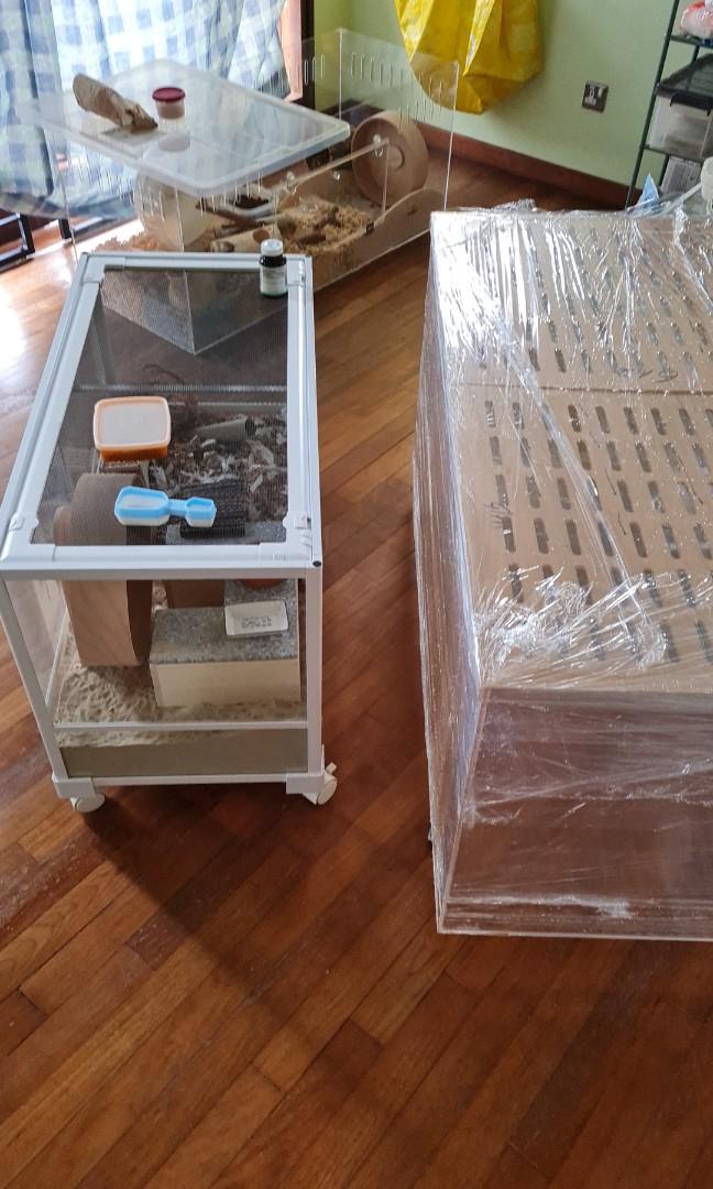 Niteangel Glass Cage, 90cm variant., Pet Supplies, Homes & Other Pet