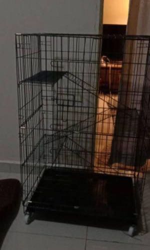 (Category: ) located in . Submitted by hungry_books (Listing ID 1100457021, Image 1). Description: .