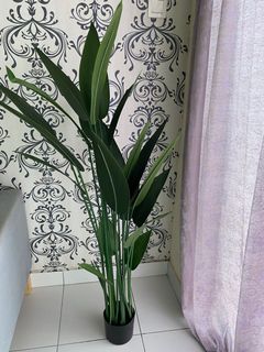 (Category: ) located in . Submitted by ayyrid (Listing ID 1100459115, Image 1). Description: .