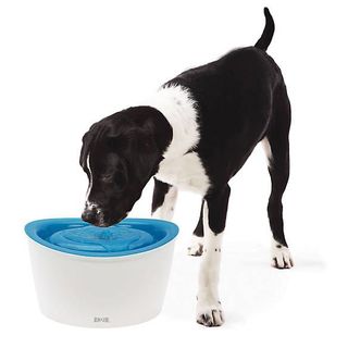 (Category: ) located in . Submitted by petbox (Listing ID 1100496747, Image 1). Description: .