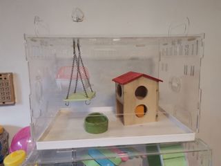 (Category: ) located in . Submitted by pet.pet.playground (Listing ID 1100751820, Image 1). Description: .