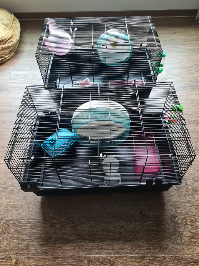 Temporary hamster cage 2025