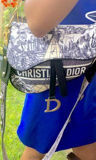 Dior Saddle Bag Blue embroidery