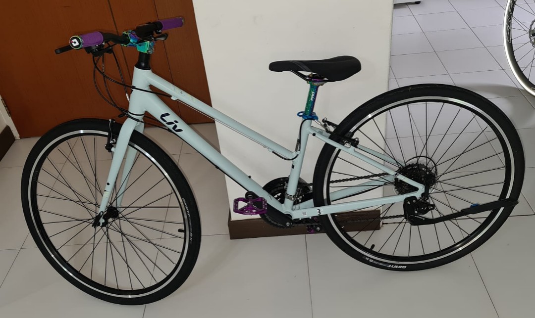 FAST DEAL GIANT LIV ALIGHT 3 2021 MODEL 
