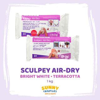 Sculpey Air-Dry | Premium Air Dry Clay Clay 2.2 lb / 1kg
