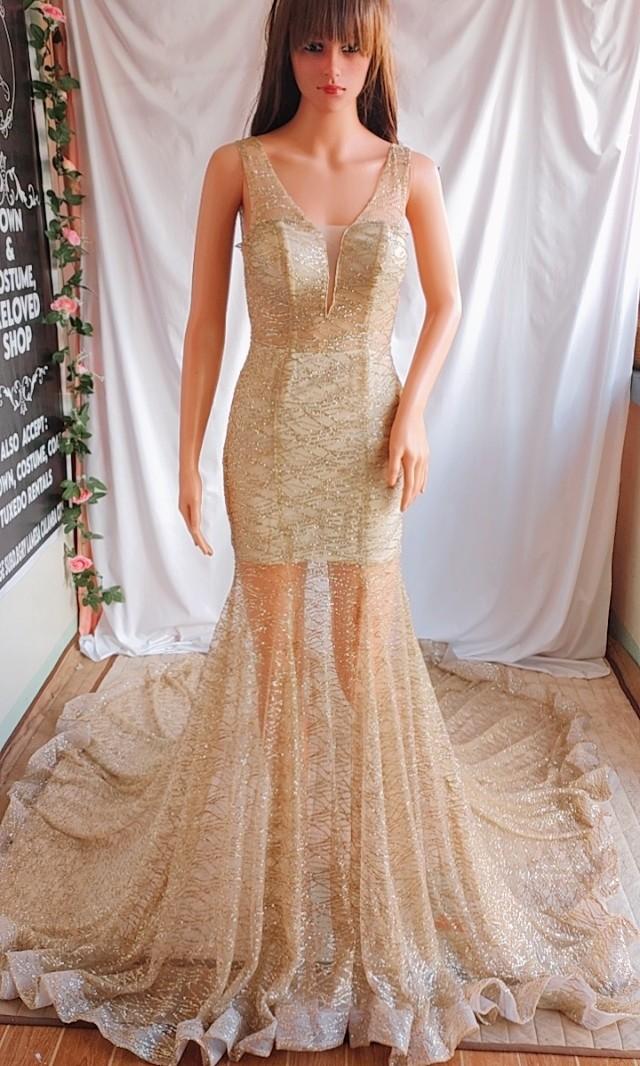 Shining shop shimmering gown