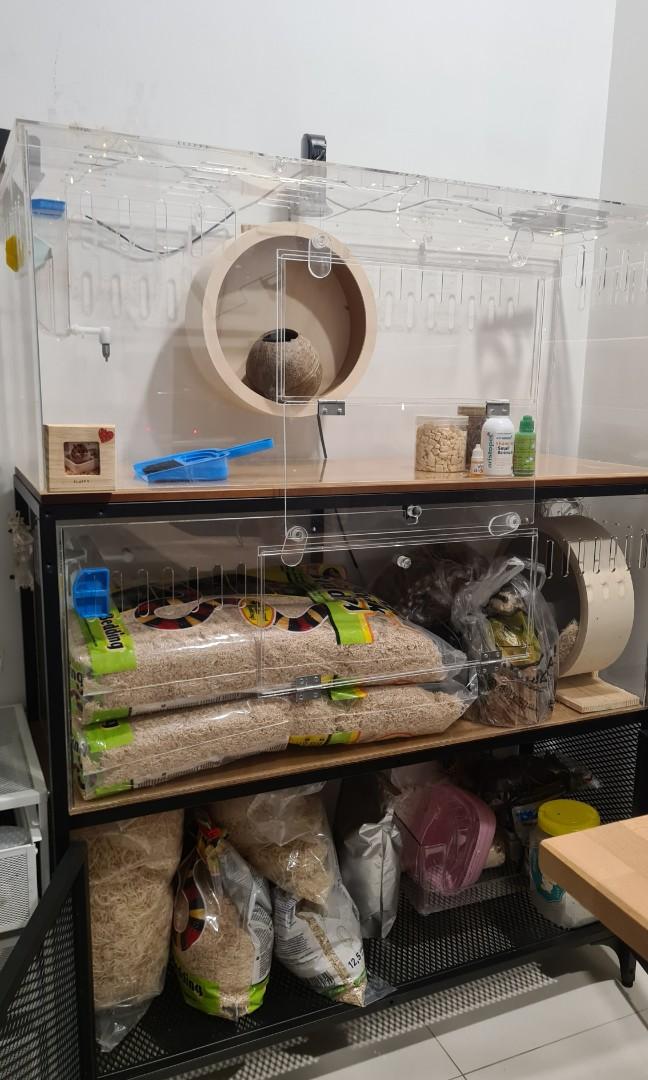 Syrian hamster setup discount
