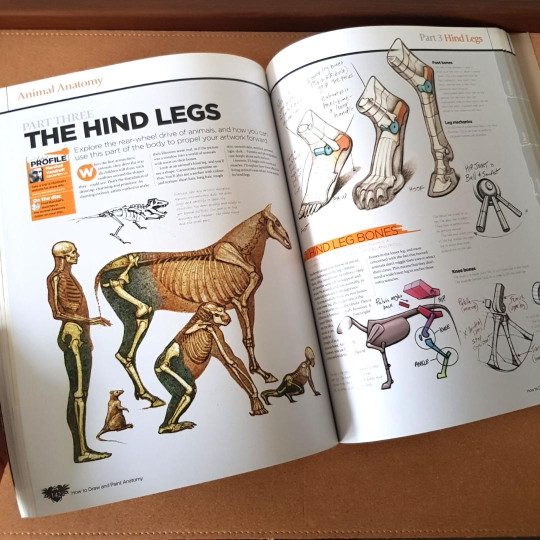 The Complete Guide How to Draw and Paint Anatomy, Hobbies & Toys