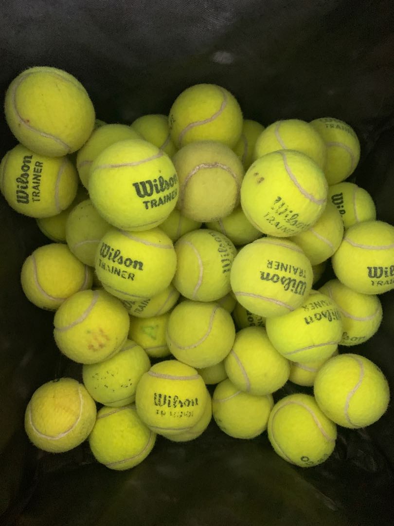 Wilson Trainer Tennis Balls, Sports Equipment, Sports & Games, Racket