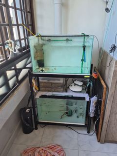 (Category: ) located in . Submitted by arowanaman (Listing ID 1100933661, Image 1). Description: .