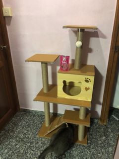 (Category: ) located in . Submitted by shibem (Listing ID 1100955968, Image 1). Description: .